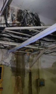 抗疾風暴雨  保通信暢通 